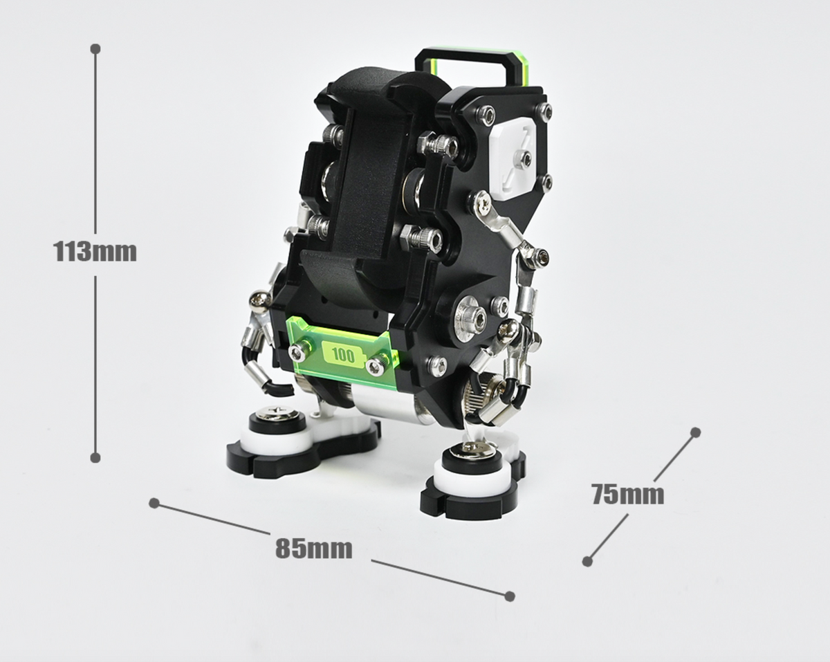bigtimesgp AWS-01 - Black